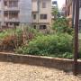 land_behind_tax_office.jpg
